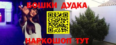 PSILOCYBIN Пушкино