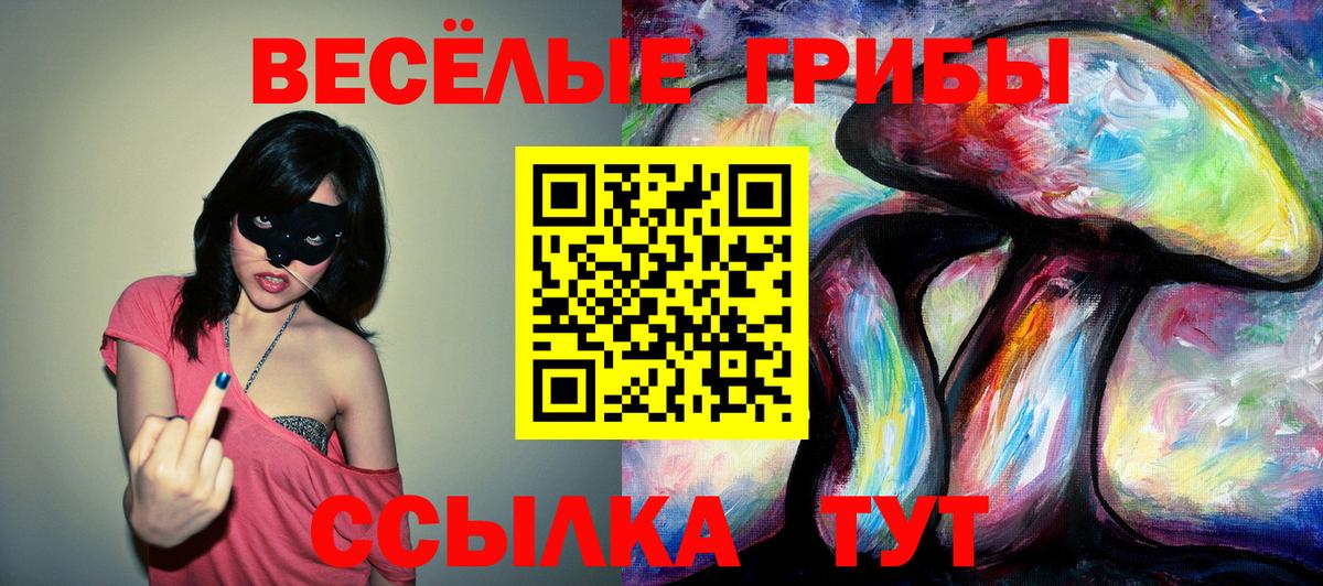 Галлюциногенные грибы ЛСД Строитель