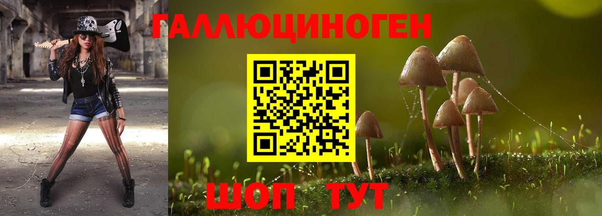 дарнет шоп  Галлюциногенные грибы GOLDEN TEACHER  Вход с VPN  Строитель 